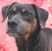Natasha